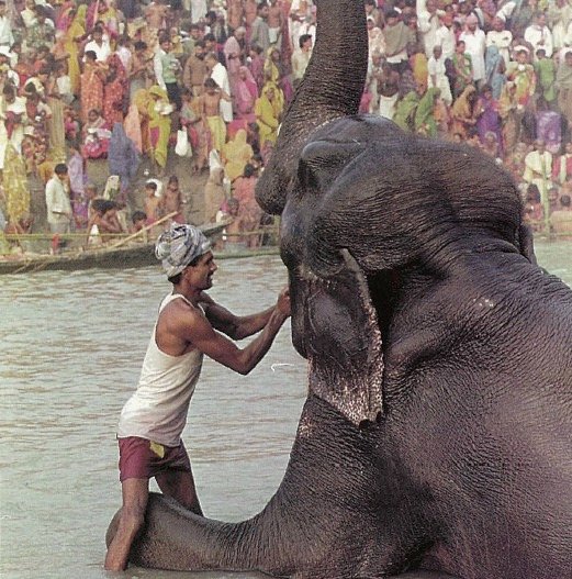 Aahh, That’s the Spot!