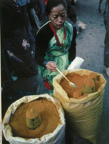The Yellow Miracle Root