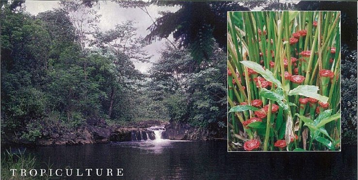 Wailua Botanical Gardens