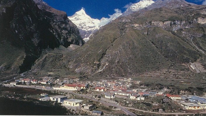 Badrinath’s Trees