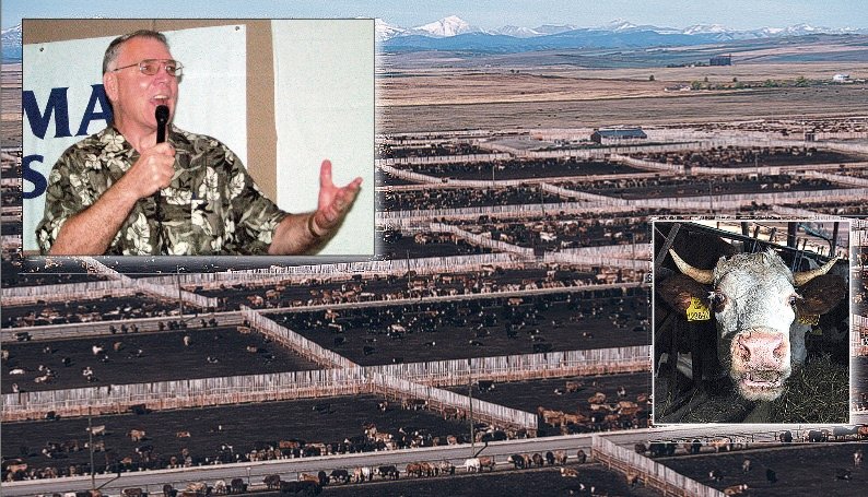 Can Cattle Threaten Our Life?