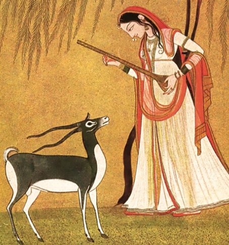 Ahimsa: To Do No Harm