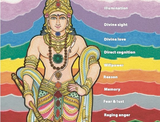 The Chakras