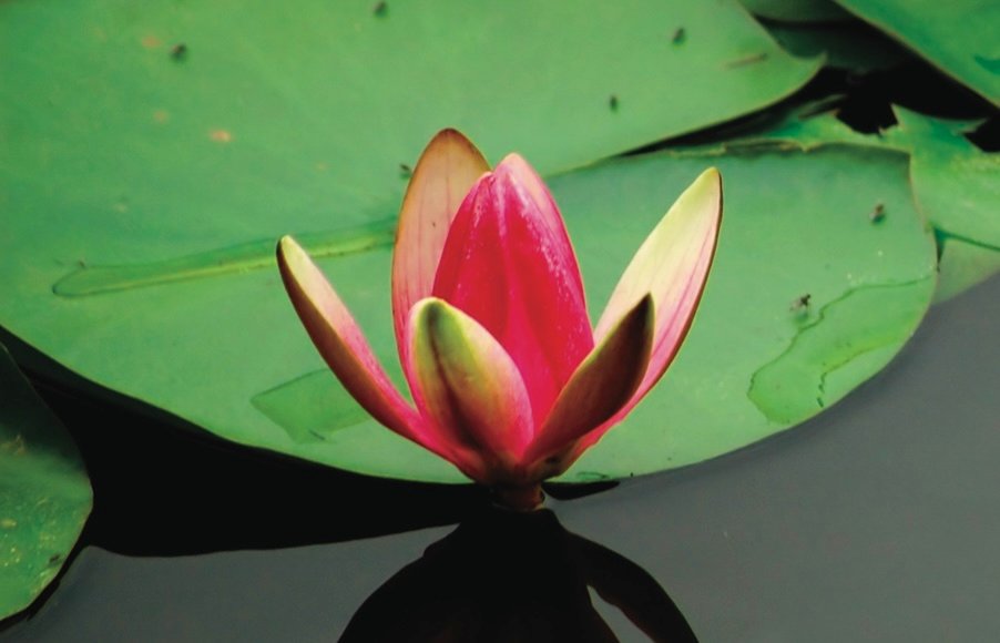 All About Meditation