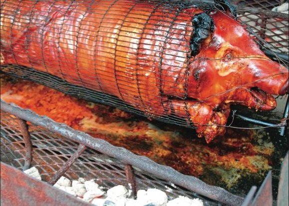 The Protein Nemesis