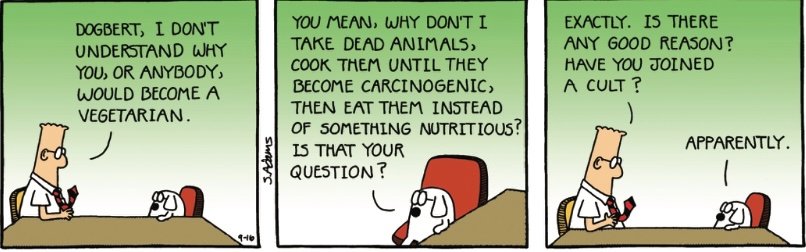 Vegetarian Myths Debunked