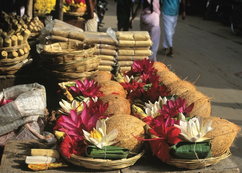 Insight: Approaching God – Elements of Worship & From Shrine to Temple
