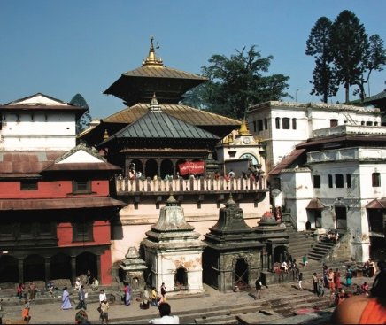 Global Dharma