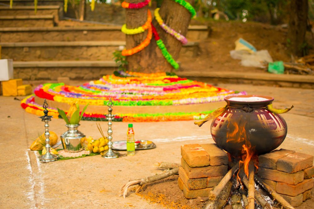 Festivals: Sankranti or Pongal