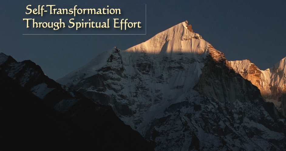 Educational Insight: Sadhana