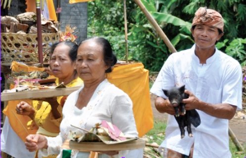 Traditions: The Reality of Animal Sacrifice
