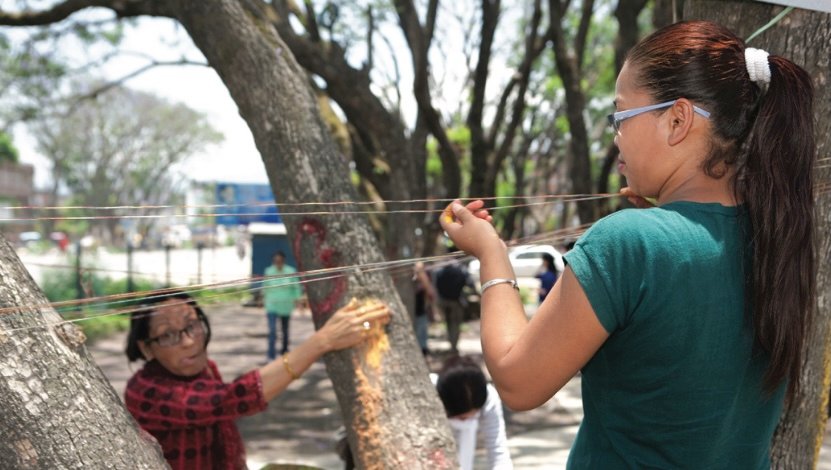 Preservation: Nepalese Fight for Their Beloved Trees