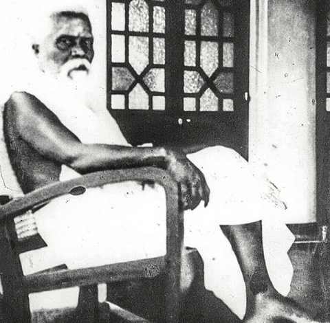 Educational Insight: The Lion of Lanka