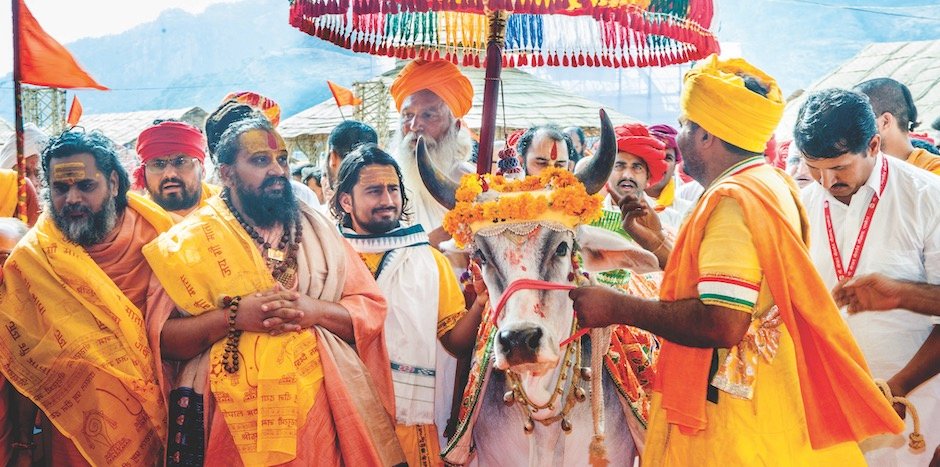 Special Feature: Behold Bharat’s Blessed Bovine