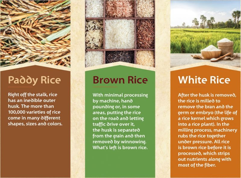 Food: Why Brown Rice Is Healthier