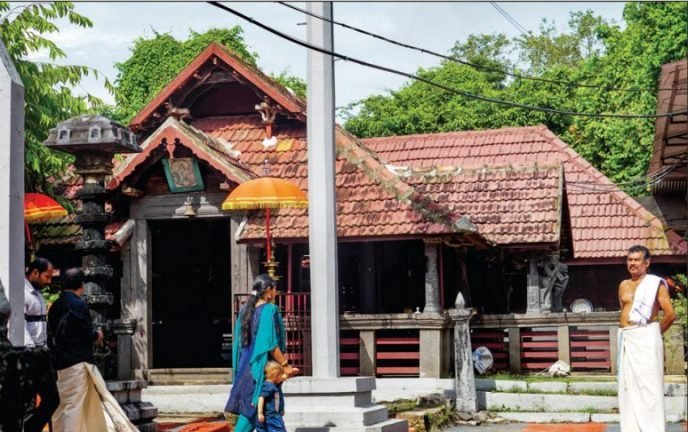 Temple/Environment: Enter the Sacred Kavu Groves of Kerala