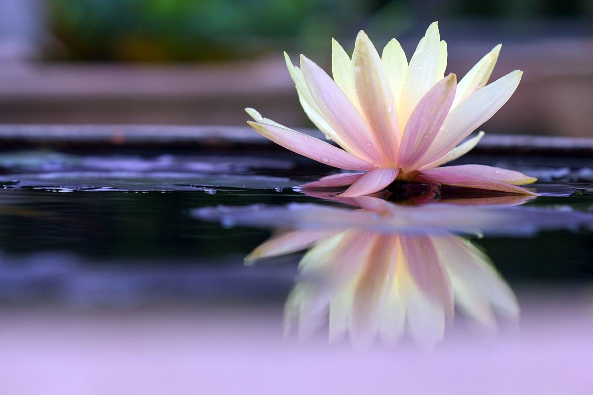 In My Opinion: Inner Balance, Outer Calm