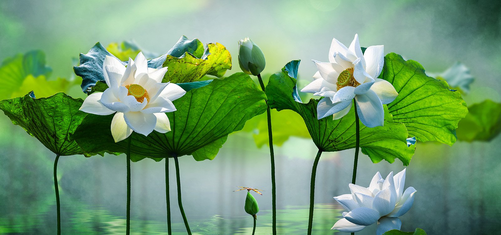 Hinduism’s Four Denominations