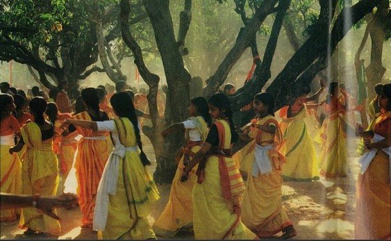 The DNA of Dharma