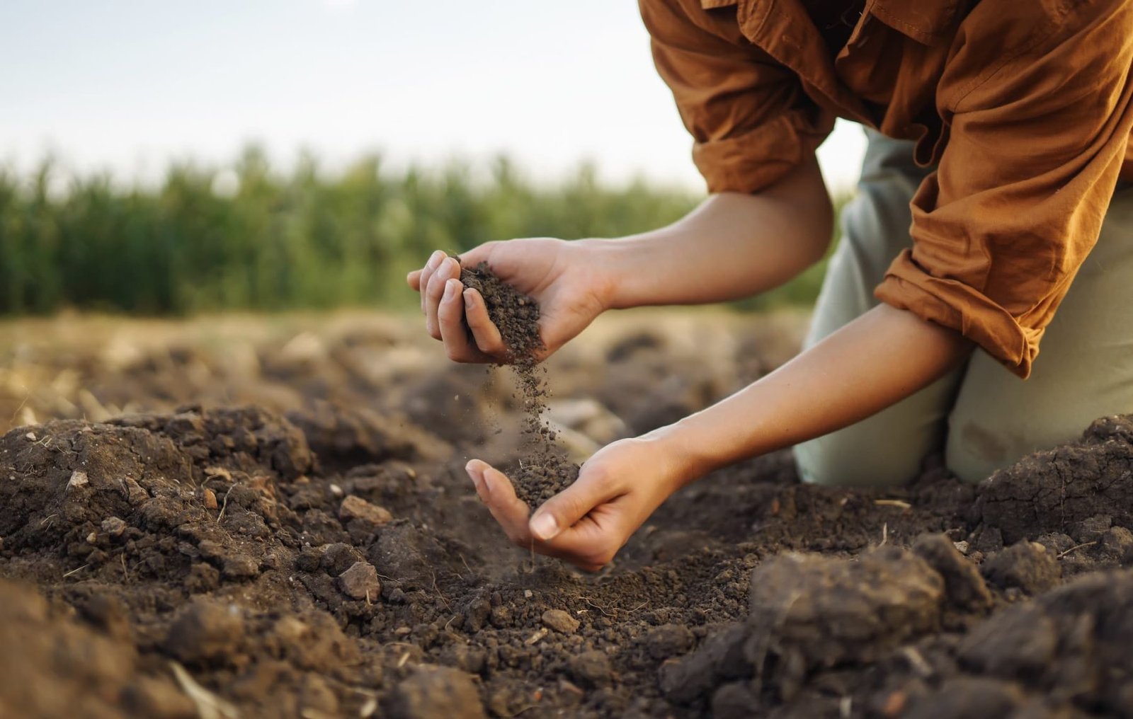 What Is Dirt Really Worth?