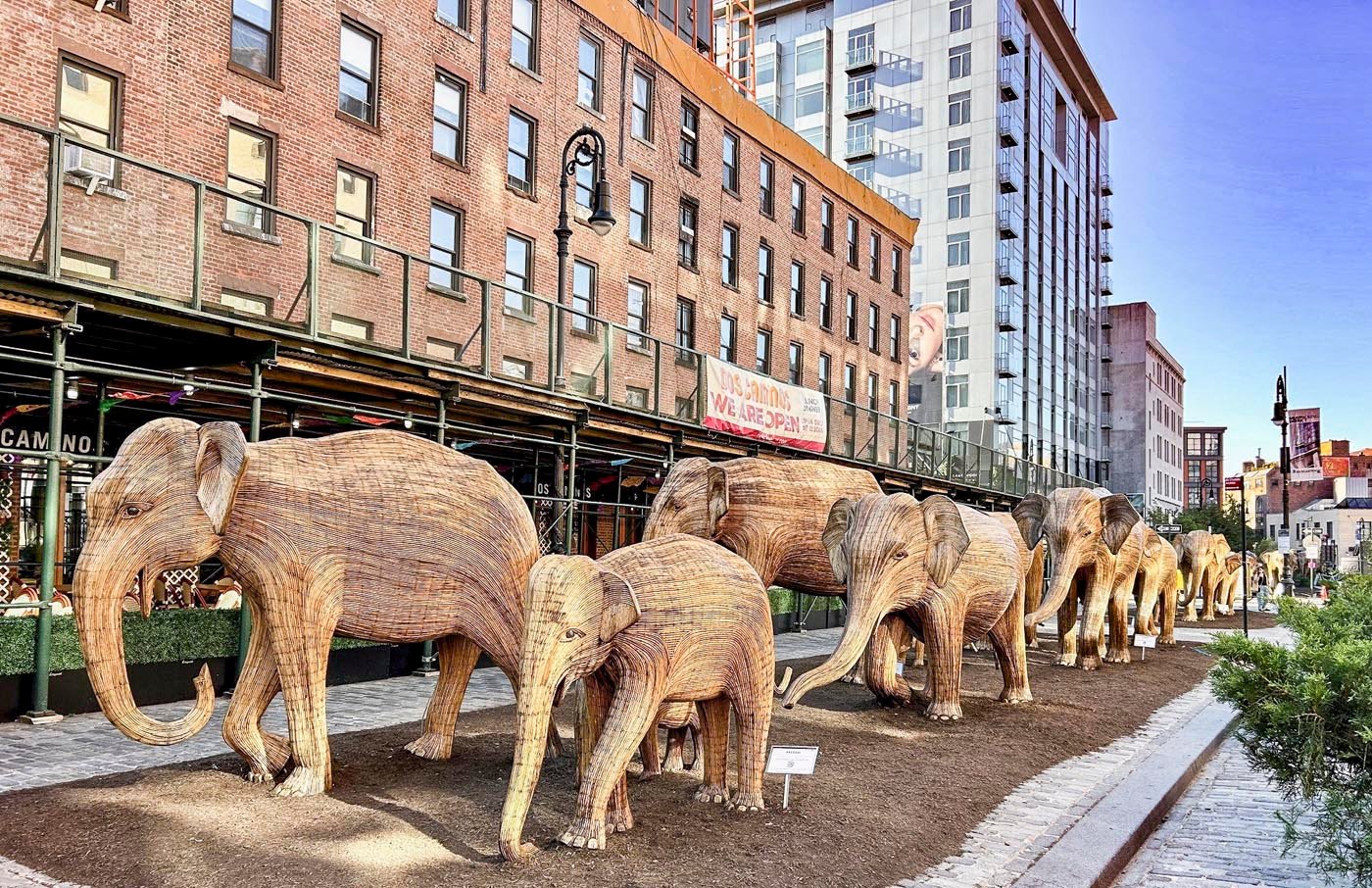 Herd Lumbers Across the USA