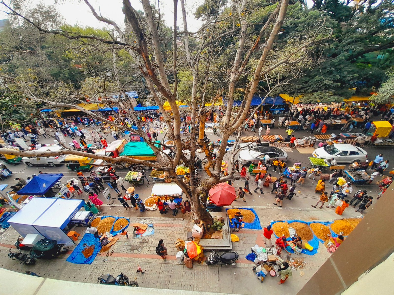 Peanut Festival, Anyone?